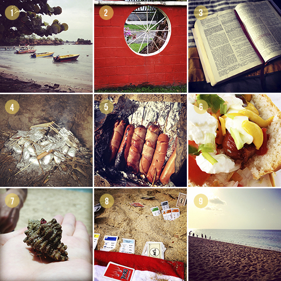 3.25.12_Snapshots